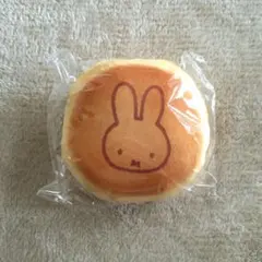 Item thumbnail for item c2918796-e1a3-41b2-a7b8-23e38e079d76