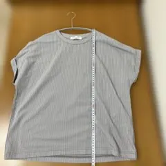 A DAY IN THE LIFE ストライプ 半袖Tシャツ L グレー
