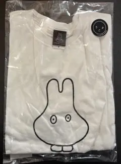 Item thumbnail for item 2aa33c82-d016-45aa-af06-17c8d1a74f75