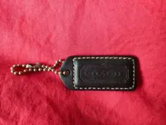 Item thumbnail for item e80b2224-0bbf-4e7b-abe8-72599e8b823e