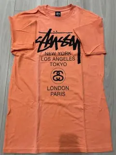 Stüssy オレンジ Tシャツ