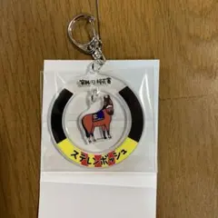 ステレンボツシユ 2024年GIレース優勝馬 アクリルキーホルダー