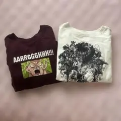 ドラゴンボール　トレーナー２枚セット　130