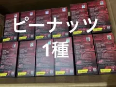 SKULLPANDA スカルパンダ　Found You Me! ピーナッツ