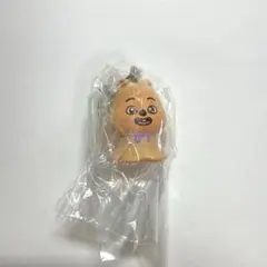 SKZOO めじるしアクセサリー　ハンクォッカ