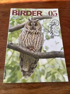 美品】BIRDER 2023年6月号 ムシクイ類完全攻略ガイド - メルカリ
