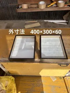2026年最新】昆虫標本箱の人気アイテム - メルカリ