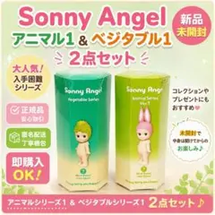 2026年最新】ソニーエンジェルベジタブルの人気アイテム - メルカリ