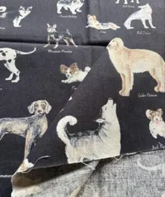 Item thumbnail for item 121ffbe5-7df6-483b-ab2f-2d66fcbccd54