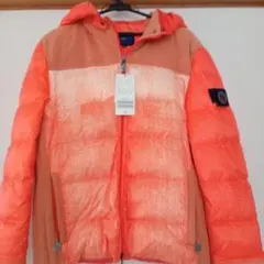 Item thumbnail for item 1ef09756-070a-4ee3-86fc-45b8230d9b39