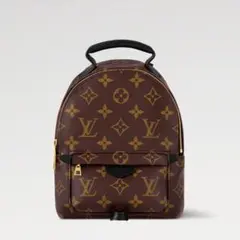 Louis Vuitton パームスプリングス バックパック MINI