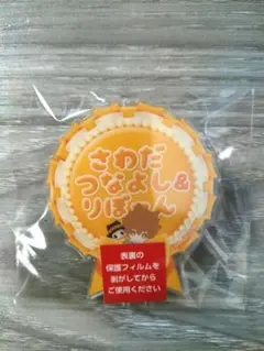 ひこくじ 家庭教師ヒットマンREBORN! E賞 ネームバッジ 沢田綱吉