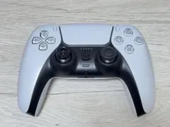 Item thumbnail for item 09ab36ce-7a1d-490f-9674-4cba421c1b30