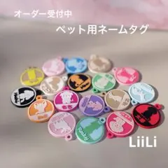 Item thumbnail for item 436bee06-3567-45fb-8bc4-72eac0ce0d62