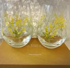 TOYO-SASAKI GLASS ミモザ タンブラー 2個セット