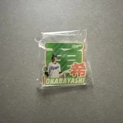 Item thumbnail for item 109ccde8-8037-4c64-b2f4-d77bb1830599