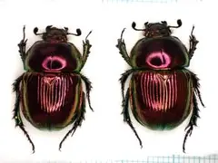 shin_chacha523様 リクエスト 4点 まとめ商品