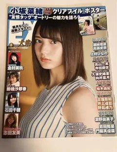 Item thumbnail for item e970b5e9-c9e7-4677-b031-4e6e428c4993