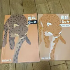 2025年最新】予習シリーズ 6年の人気アイテム - メルカリ