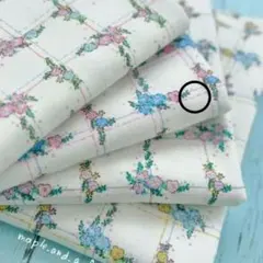 Item thumbnail for item 313e4a67-1fc0-420d-ac2c-184d2e7aa745