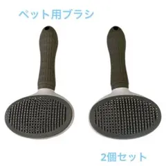 Item thumbnail for item f8eeb18b-dd3c-40dd-813f-be028d0952cb