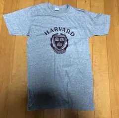 champion 80sビンテージ　トリコタグTシャツ　アメリカ製