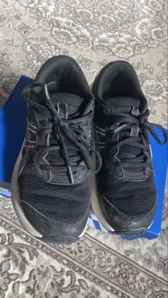 Item thumbnail for item c5f36fe6-6c6d-4832-8804-d0cb2f4464fd