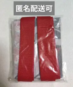 ディズニーストア シークレット ミニトート ミッキー ミニー