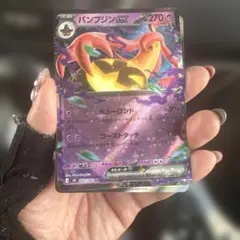 パンプジンEX スピアーEX エネルギー回収セット