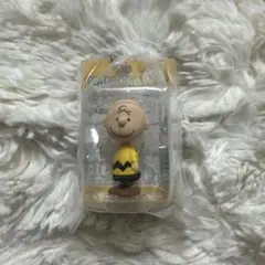 スヌーピー　パッケージミニチュア