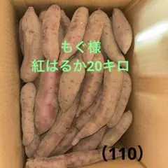 もぐ様紅はるか20キロ（110）