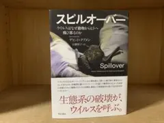 スピルオーバー