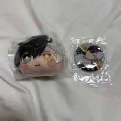 桜遥 ウィンブレ ガチャガチャ 缶バッジ フェイスぬいぐるみ ぷちキャラ