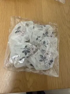 Item thumbnail for item 78c0dc0c-a0ae-4479-841a-2b87b48967f6