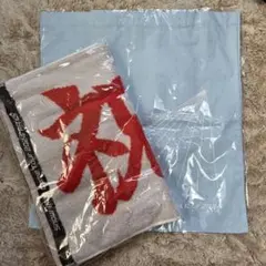 【新品未開封】SnowMan ドームツアー　RAYS タオル&バッグセット