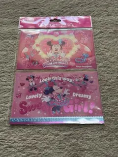 ポストカード　ディズニー　パルパルーザ　ミニー　ファンダーランド