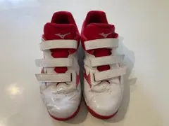 ミズノスパイク29