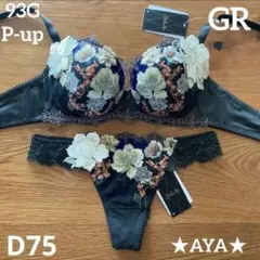 最終値下げ新品Salute 93GブラD75&ソングMセット 最終値下げ新品Salute 93GブラD75&ソングMセット 最終値下げ新品Salute