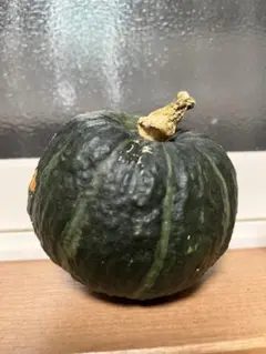 青木 香理様 リクエスト 2点 まとめ商品