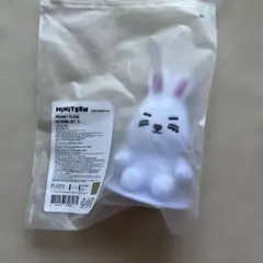 SEVENTEEN MINITEEN マグネットキーリング エスクプス セブチ