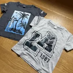 新品 2枚セット キッズプリント半袖Tシャツ 2枚セット