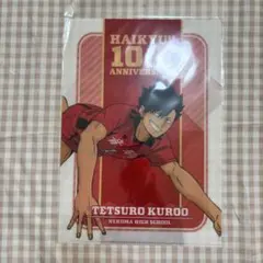 ハイキュー 10th Anniversary クリアファイル 音駒高校