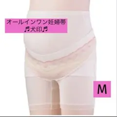 オールインワン妊婦帯（パンツタイプ） | 犬印本舗の妊婦帯・腹帯