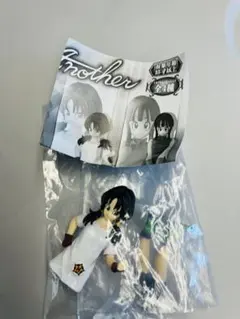 ドラゴンボール　HG Another アナザー　ビーデル③