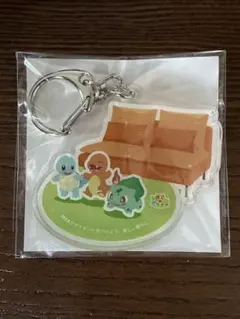 ぽこあポケモン IKEA アクリルキーホルダー 【非売品】 - メルカリ