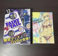 FAIRY TAIL フェアリーテイル ナツ ルーシィ エクレア ポストカード