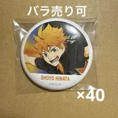 ハイキュー 横断幕 缶バッジ 40点セット 日向