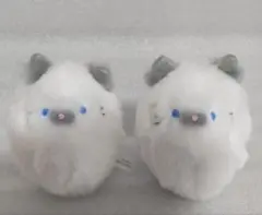 ぶるぶる　ふわふわねこさん　２体セット　ねこ　しゃむ　ぬいぐるみ　振動　おもちゃ