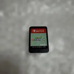 任天堂Switch あつまれどうぶつの森 ソフト