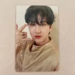 Stray Kids World Tour dominATE SEOUL トレカ